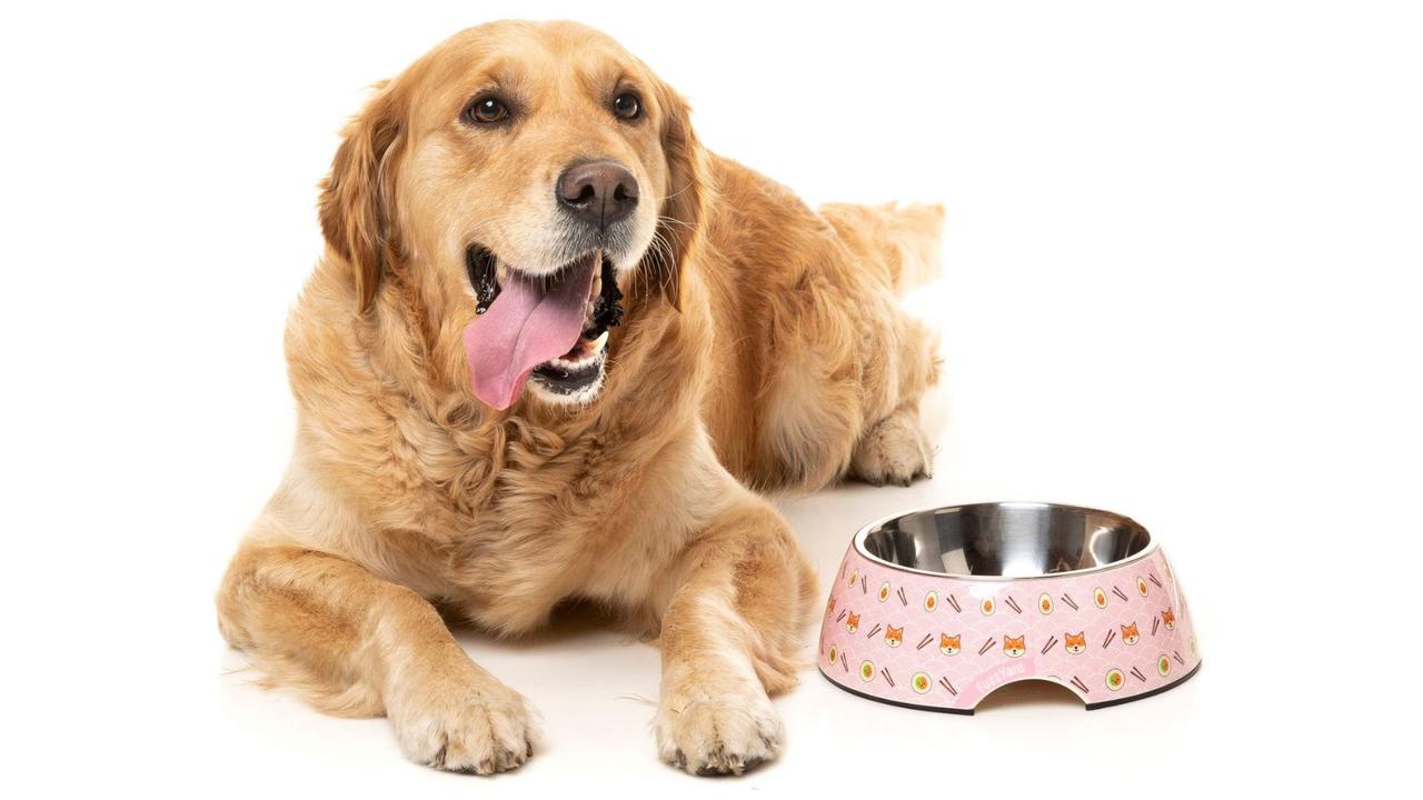 Small Dog Feeder / Small Dog Bowls Stand With Stone Top and Metal