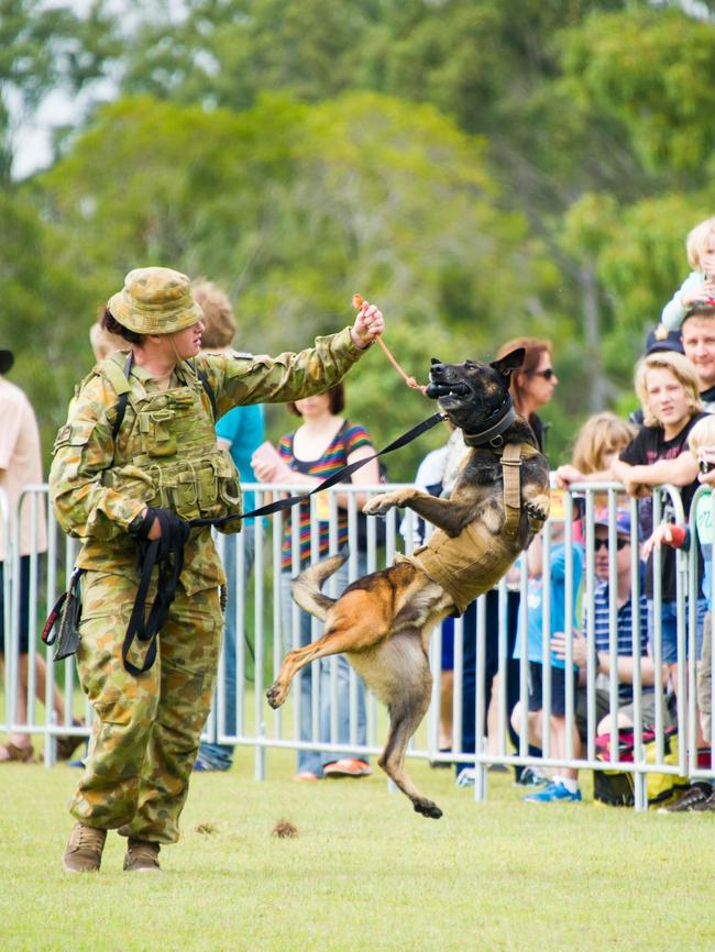 Private Hayley Shiahan from 1 Military Police Battalion demonstrates the skill and power of her military police dog at a previous 7th Brigade Open Day. Picture: Department of Defence