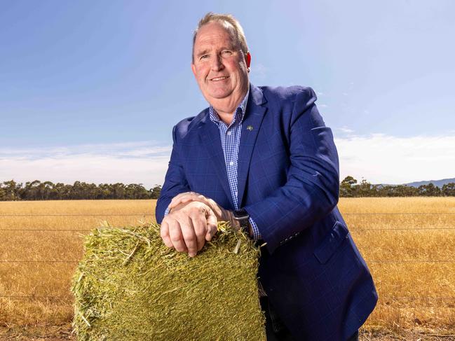 Balco AustraliaÃs CEO Rob Lawson with bales of hay in North Adelaide SA. Pictured on November 15th 2023. Picture: Ben Clark