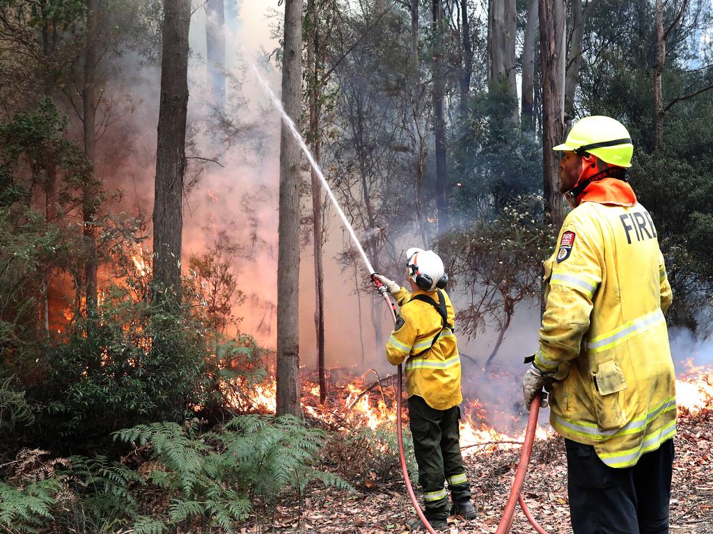 January 2019 Tasmanian Bushfires. Firefighters from Sustainable Timber, Department of Parks and Wildlife and New Zealand work on a spotfire on Arve Rd just out of Geeveston in the Huon Valley. Picture: NIKKI DAVIS-JONES