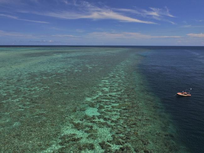 Bolt: Great Barrier Reef comeback exposes climate alarmists’ lies