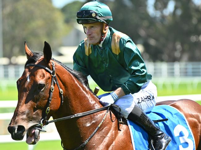 MELBOURNE, AUSTRALIA - FEBRUARY 10: Mark Zahra riding Bodyguard winning Race 6, the Sportsbet Blue Diamond Prelude C&g, during Melbourne Racing at Caulfield Racecourse on February 10, 2024 in Melbourne, Australia. (Photo by Vince Caligiuri/Getty Images)