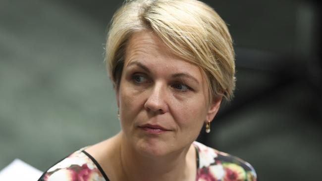 Deputy Opposition Leader Tanya Plibersek. Picture: AAP