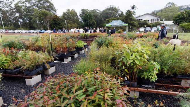 Friends of the Koala Nursery Opening.