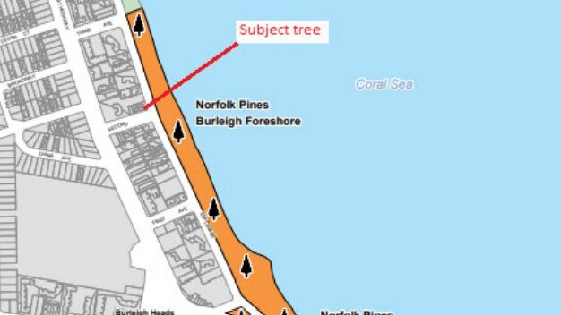 A map presented to council showing the tree’s location. Photo: Supplied