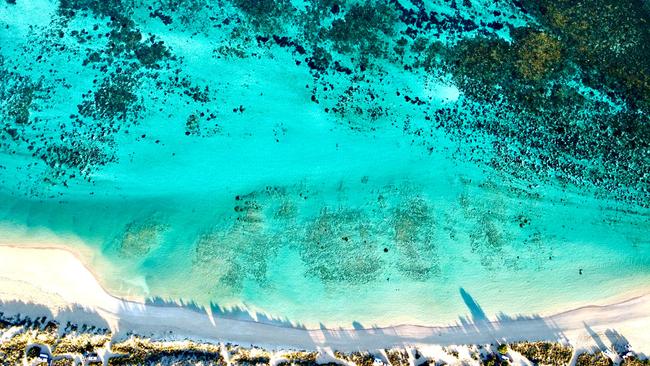 Ningaloo Reef in Western Australia, where you can swim with whale sharks, also got a shout out.