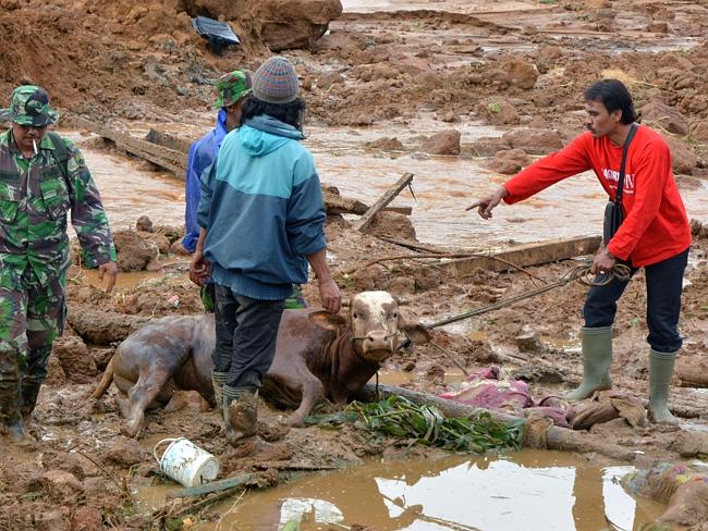 Indonesian landslide 2014: Search for survivors continues | news.com.au ...