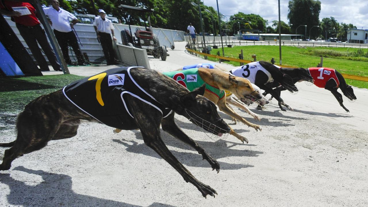 ‘Disaster zone’: Townsville greyhound death latest fatality