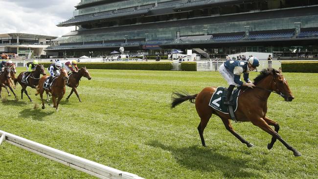 Magic Millions ru2YO Classic favourite Coolangatta. Photo: Mark Evans/Getty Images