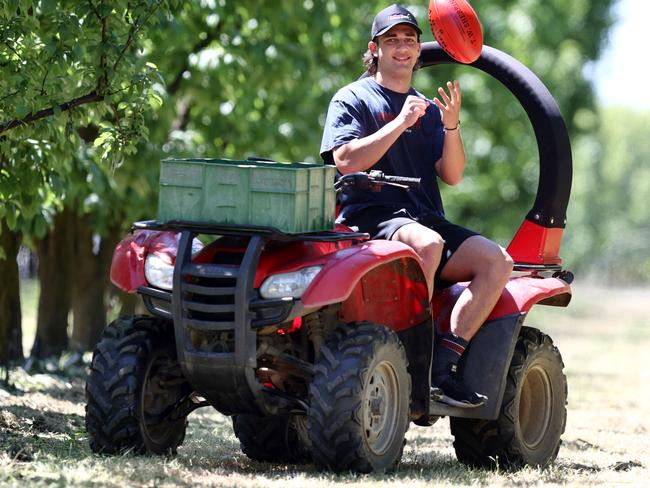 Crows reveal key targets: So does it flush out Rachele?