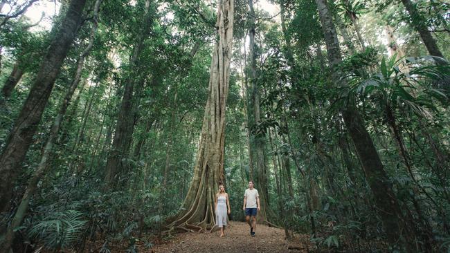 Breathe in the fresh air in the Sunshine Coast hinterland.