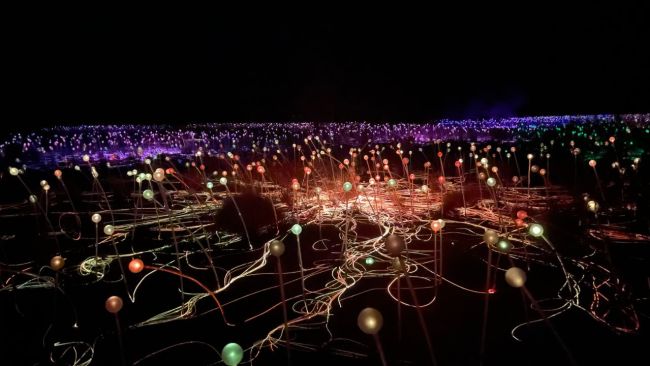 The Field of Lights - spectacular! Image: Leah Goulis / Kidspot