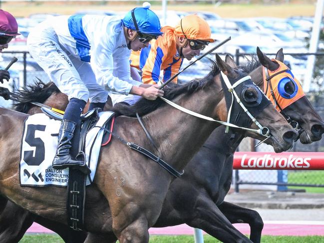 Antrim Coast (NZ) ridden by Michael Dee wins the DCE Alister Clark Stakes at Moonee Valley Racecourse on March 23, 2024 in Moonee Ponds, Australia. (Photo by Reg Ryan/Racing Photos via Getty Images)