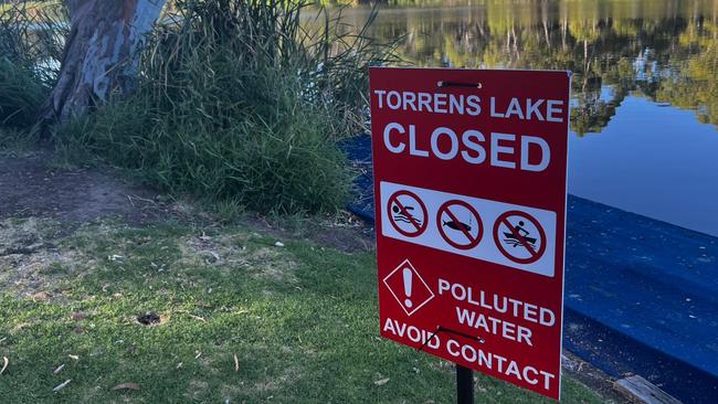 A popular lake in Adelaide’s CBD has been closed off after high levels of E.coli were discovered in the water. Picture: Facebook