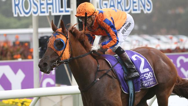 Gingernuts ridden by Opie Bosson wins the Sky Racing Rosehill Guineas race during Golden Slipper Day at Rosehill Racecourse in Sydney, Saturday, March 18, 2017. (AAP Image/David Moir) NO ARCHIVING, EDITORIAL USE ONLY