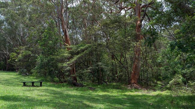 The land claim on the park is being assessed by NSW Crown Lands.