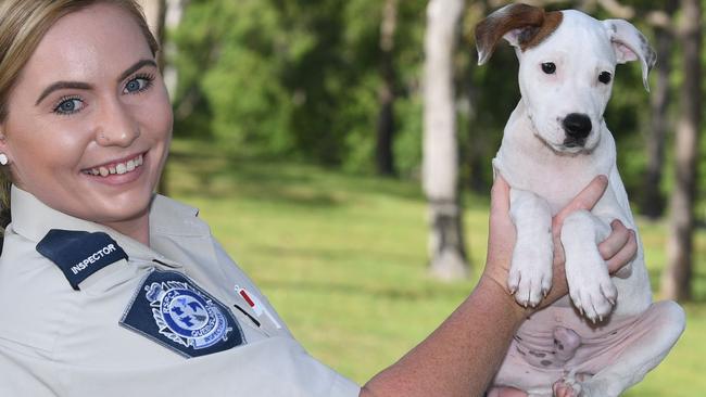 RSPCA Inspector Jema Rossow has had 40 cases since March. Picture: Shane Zahner