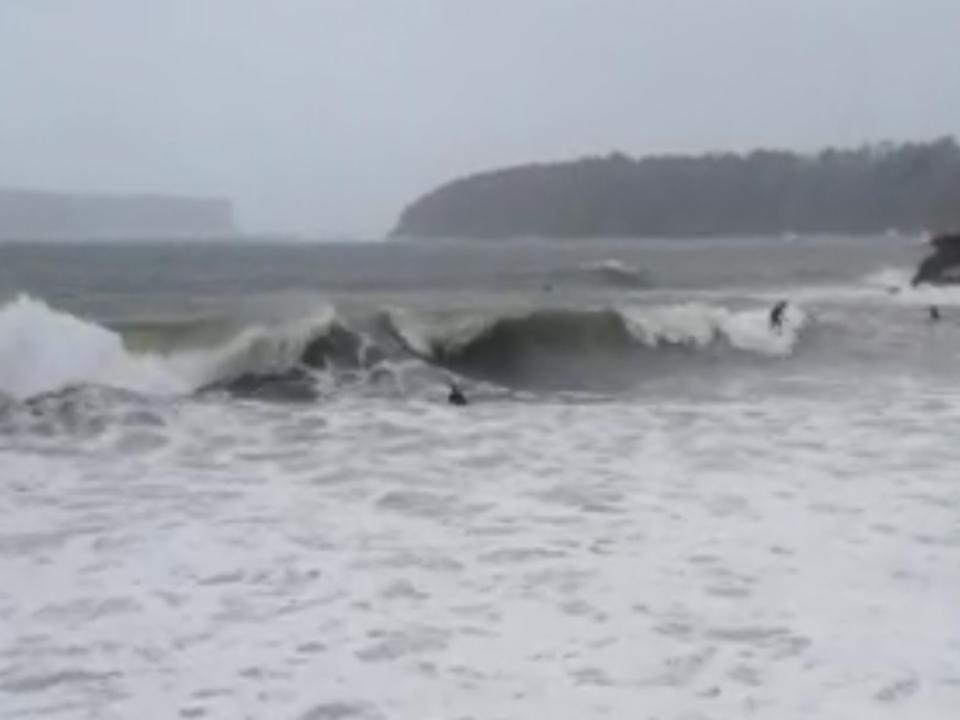 Balmoral Surfers