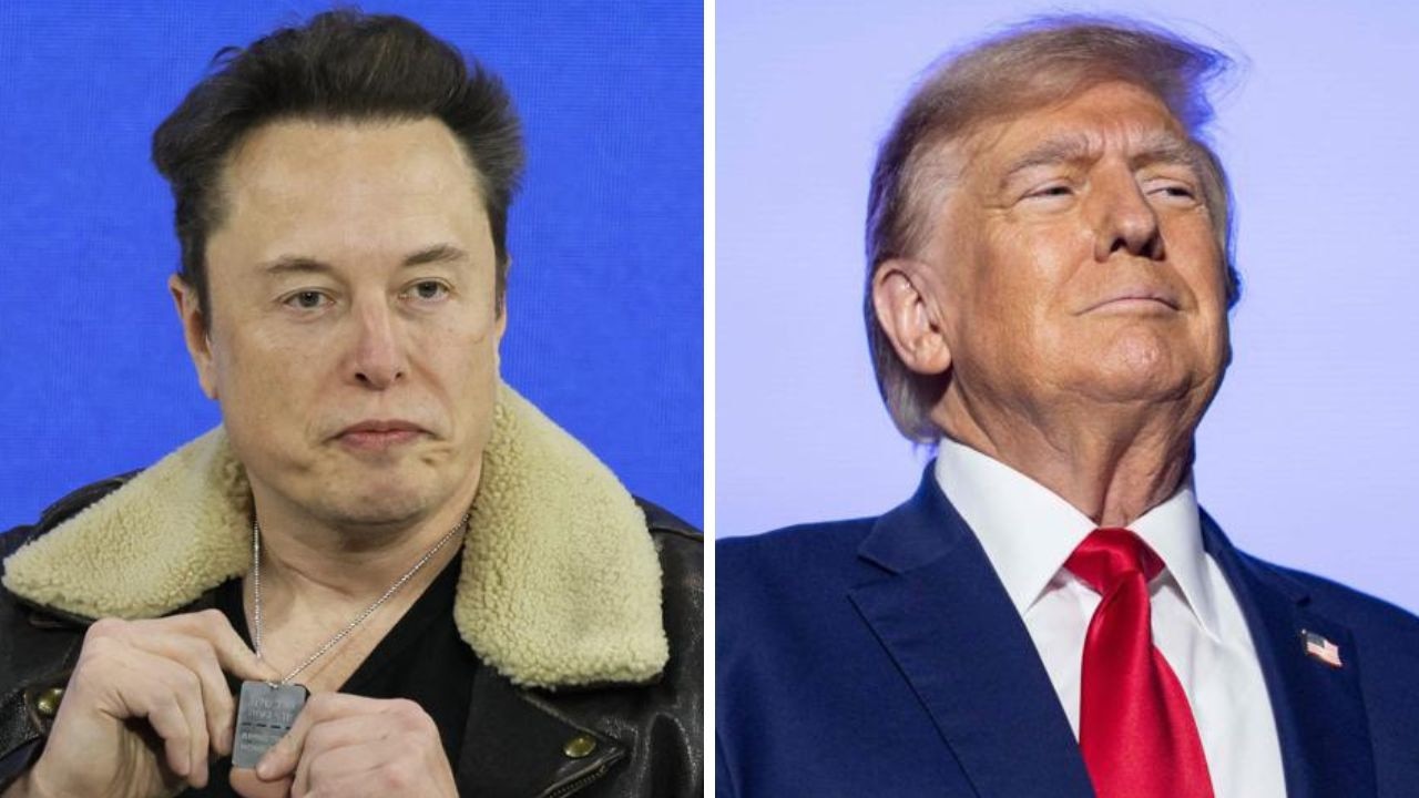 Donald Trump Elon Musk How The Great Replacement Campaign Will   E39aa94d4a13e87a001aaaed33e02386