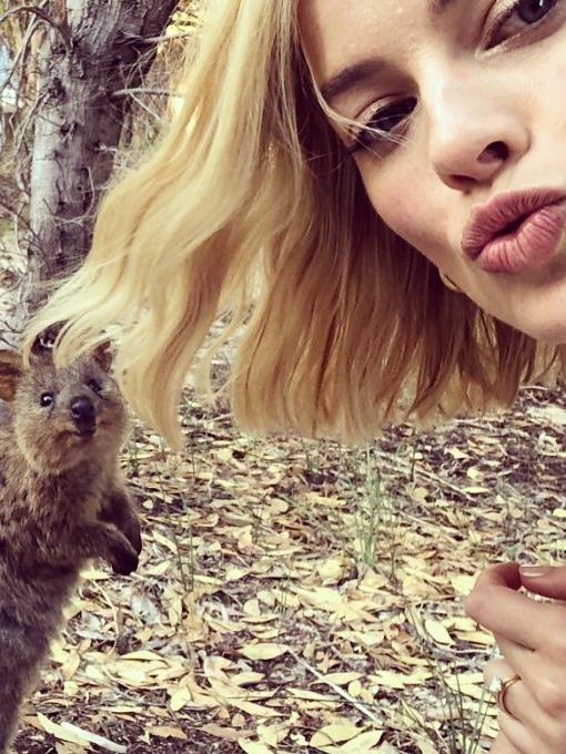 Margot Robbie gets close to the quokkas on Rottnest Island in 2018. Picture: Instagram