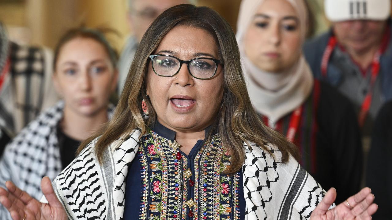 Mehreen Faruqi says the Albanese government is racist for not sanctioning Israel. Picture: NewsWire / Martin Ollman