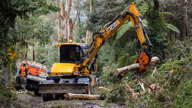 Workers clear storm debris in the Dandenong Ranges. Picture: Jason Edwards