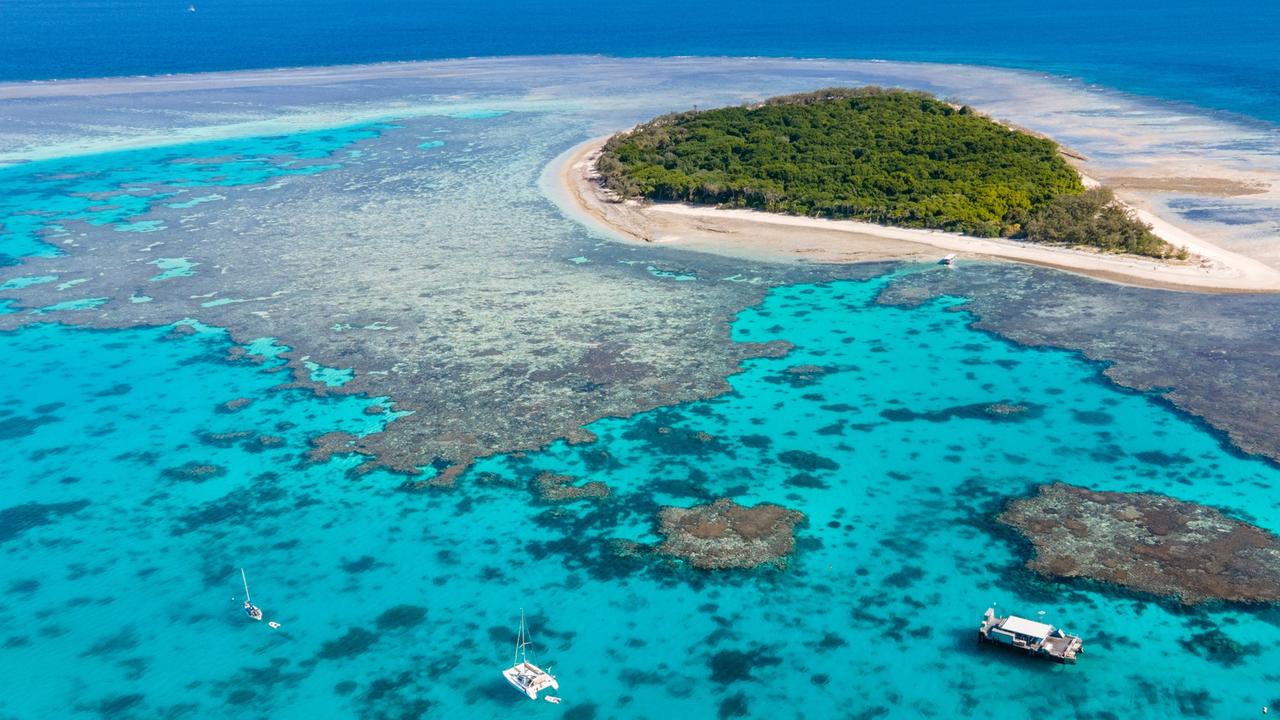 Snorkeller airlifted after nearly drowning on Great Barrier Reef