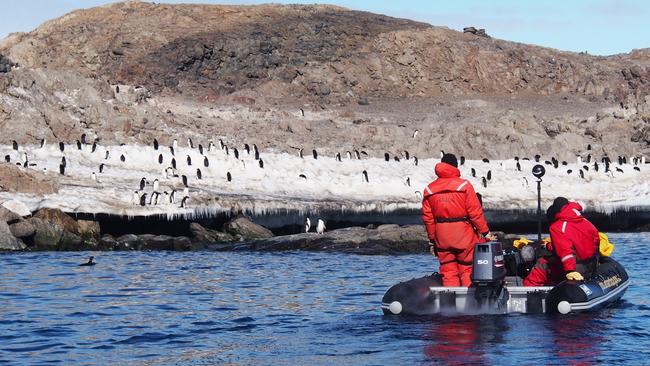 Briege Whitehead and camera operator Dean Chisholm at Davis research station in Antarctica.