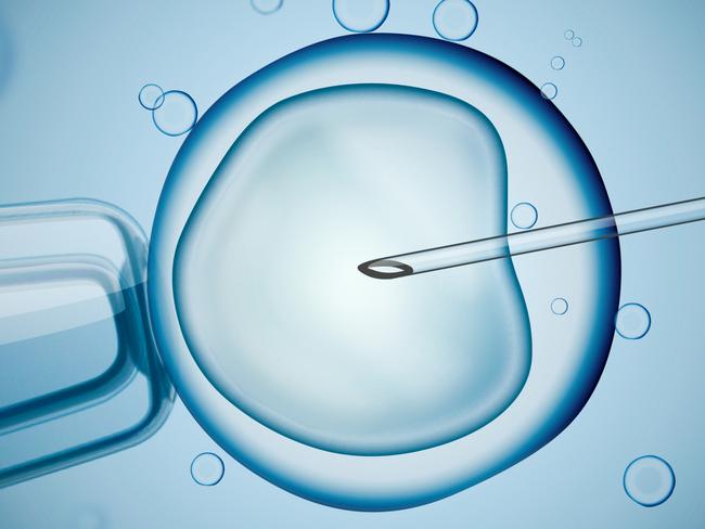 Between four and seven per cent of children conceived in the West are done so through IV (in vitro fertilisation) and other reproductive assistance techniques. Picture: iSTOCK