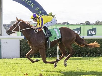 $20,000 buy Penpel defeats $3 million filly Ernaux at Warwick Farm on Wednesday. Picture: Bradley Photos