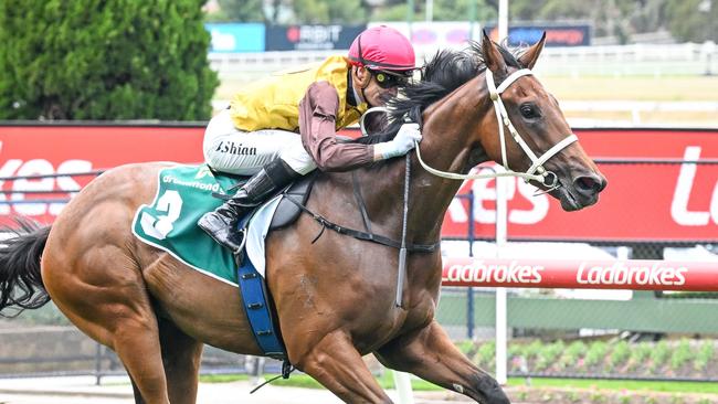 Field Of Play ridden by Blake Shinn wins the Drummond Golf Handicap at Moonee Valley Racecourse on December 28, 2024 in Moonee Ponds, Australia. (Photo by Reg Ryan/Racing Photos via Getty Images)