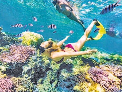 Snorkel at Rottnest Island.