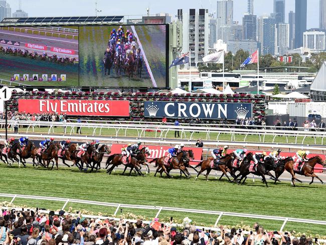 The field make their way down the straight at the start of the 2015 Emirates Melbourne Cup. Picture: Nicole Garmston