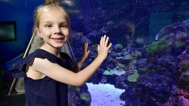 Laura Marsland at Reef HQ for school holiday activities. PICTURE: MATT TAYLOR.