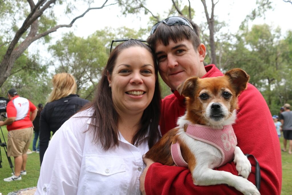 Gladstone Million Paws Walk | The Courier Mail