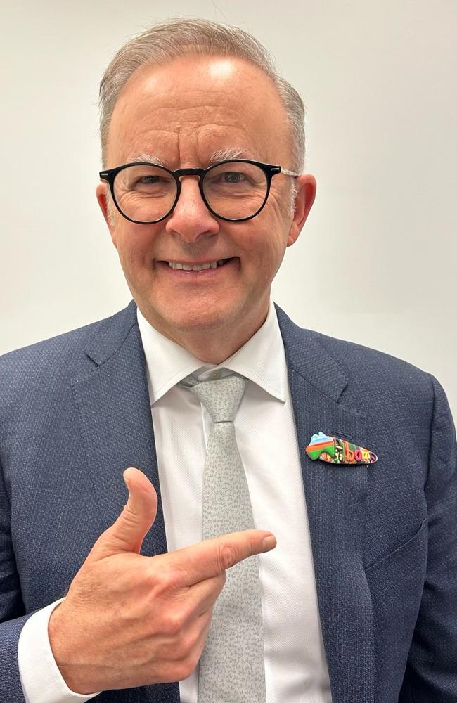 Prime Minister Anthony Albanese wears a brooch made by Hunter and Co designs, who are based in Alice Springs.