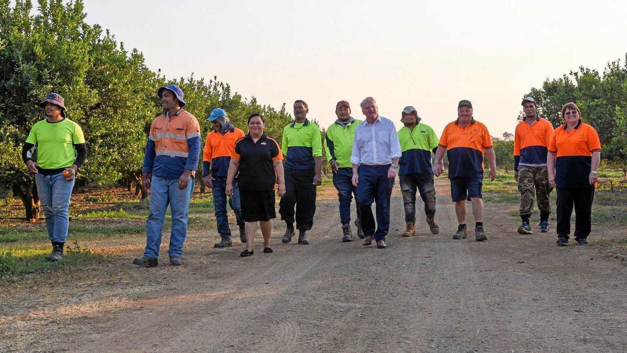 WORKING WELL: Australia's High Commissioner to Tonga Adrian Morrison with Tongan workers in Mundubbera. Picture: Alex Treacy