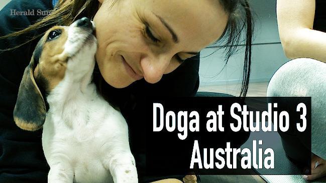 Doga at Studio 3 Australia