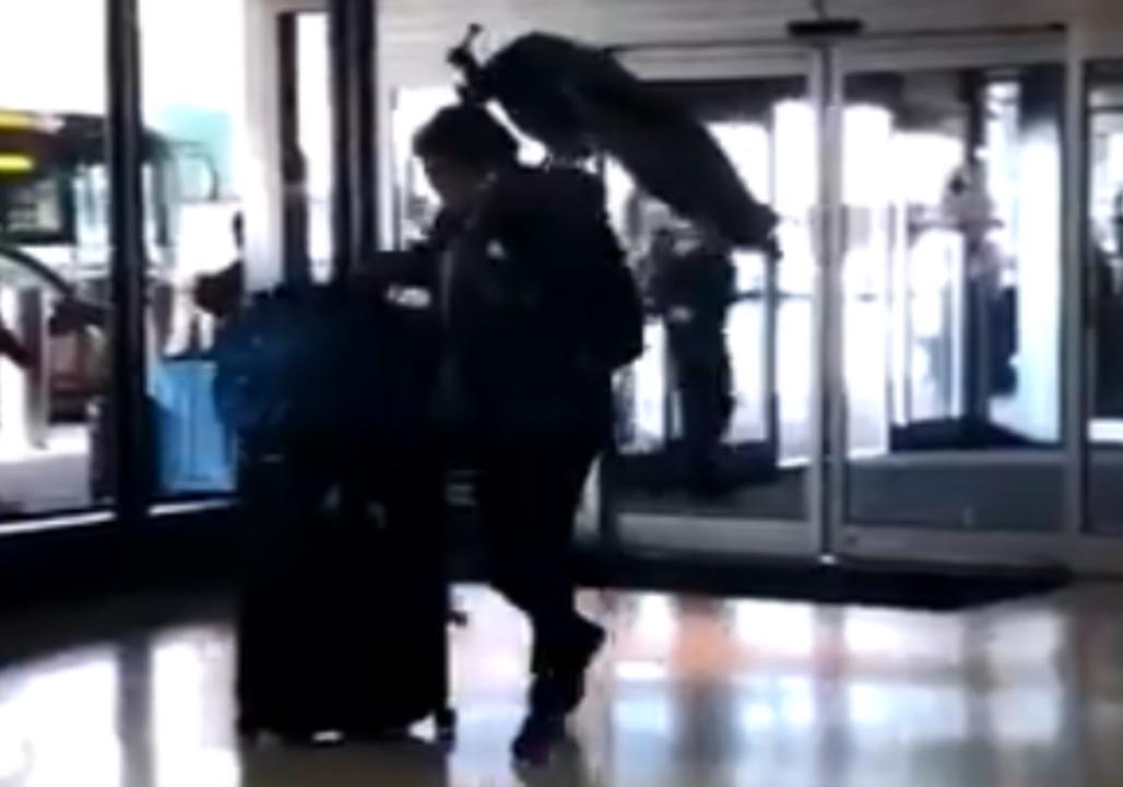 Woman Tries to Board United Flight With Peacock as Comfort Animal