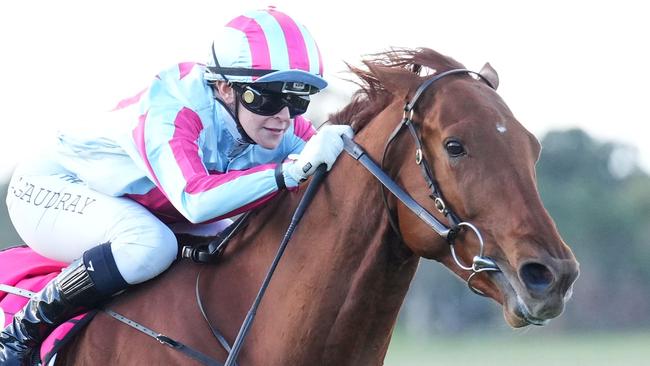 Mrs Chrissie in full flight could pose a threat to stablemate Recommendation. Picture: Picture: Scott Barbour/Racing Photos via Getty Images