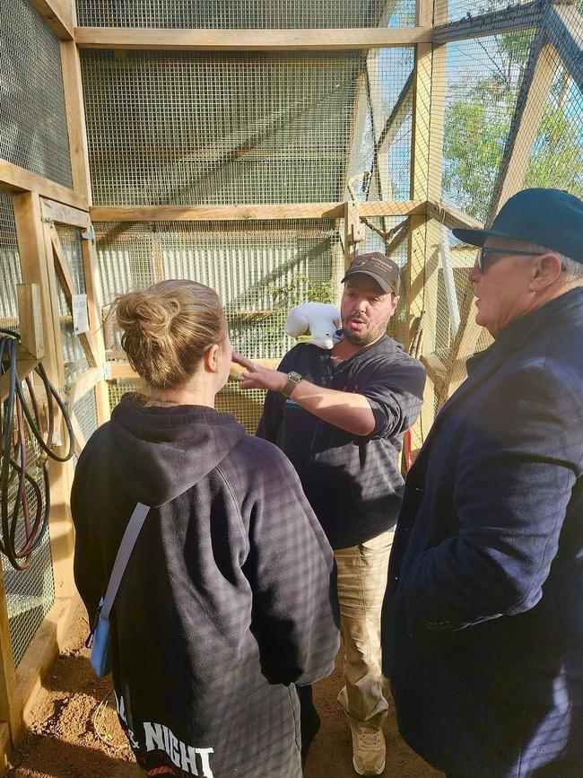 Robert Patrick recently visited Tasmania's Bonorong Wildlife Sanctuary. Picture: Instagram/@ripfighter
