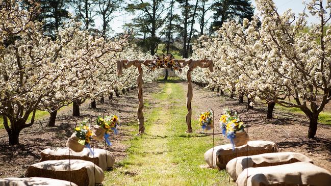 A Paracombe Premium Perry wedding. Picture: Supplied