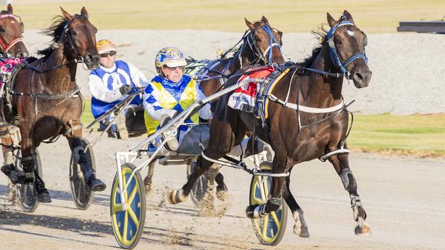 Little Louie wins at Melbourne in March. Picture: Stuart McCormick