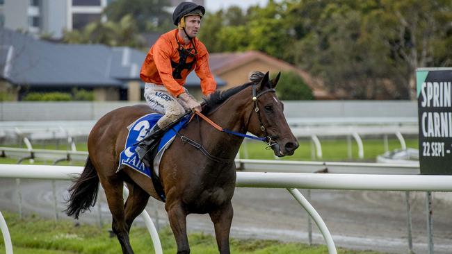 Race 6 winner Soft Top, ridden by jockey Ryan Plumb on Saturday at the Gold Coast Turf Club. Picture: Jerad Williams