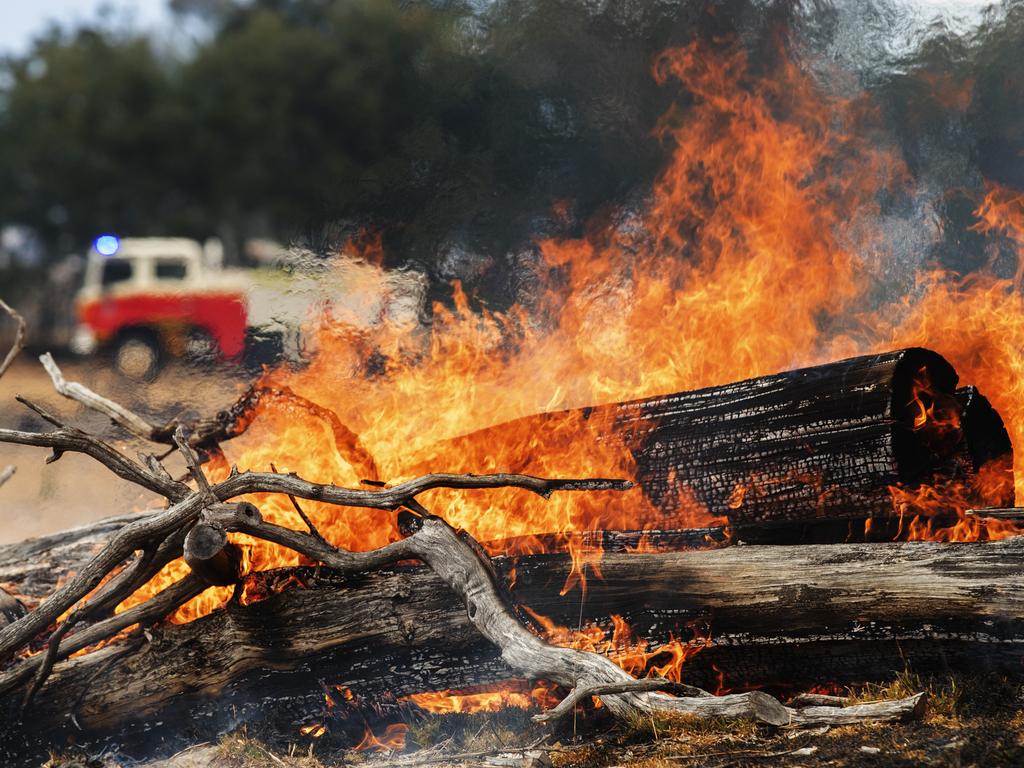 TFS Volunteers during back burning operations at Fingal. PICTURE CHRIS KIDD