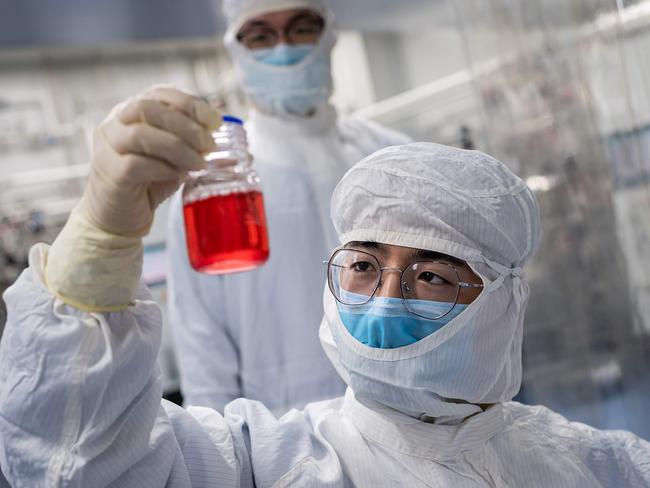 An engineer looks at monkey kidney cells in a vaccine experiment. Picture: AFP