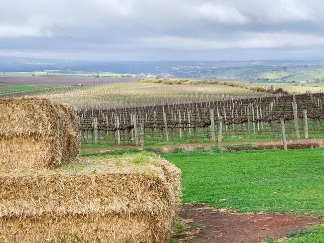 Pindarie Wines vineyards beyond the giant play haystack