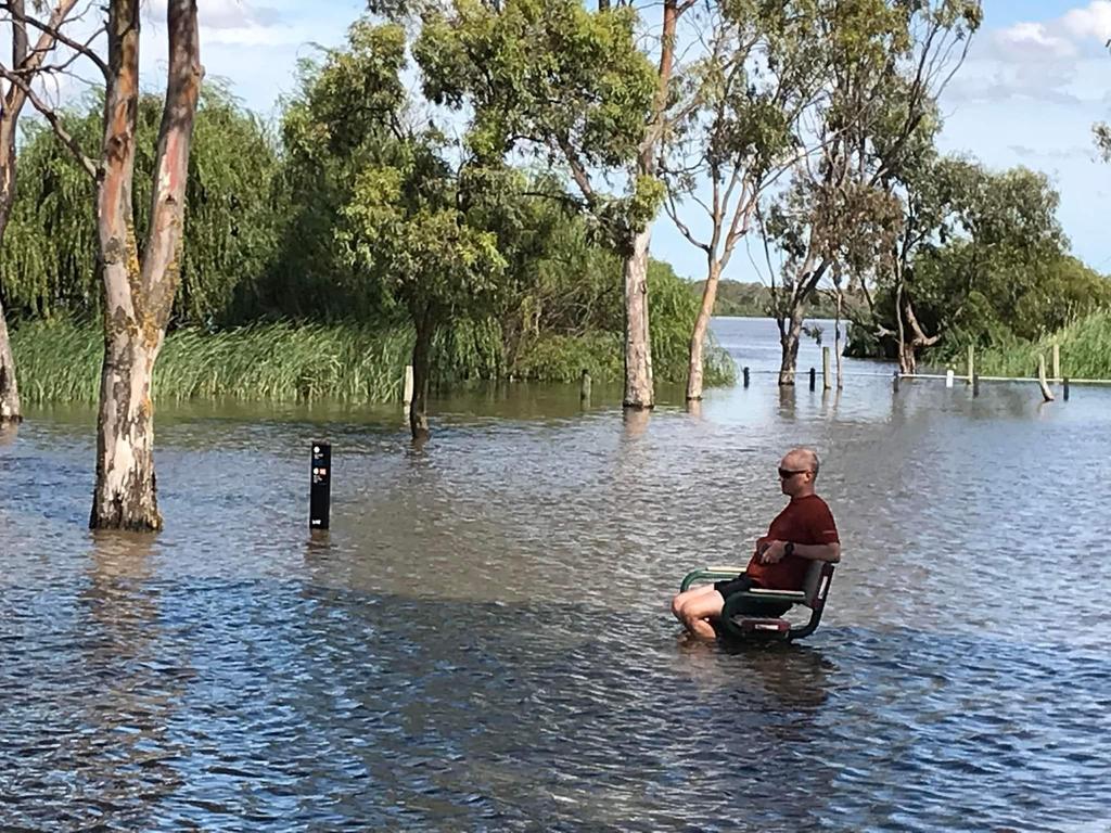 Relaxing at Murray Bridge. Picture: Facebook/Chris Revell