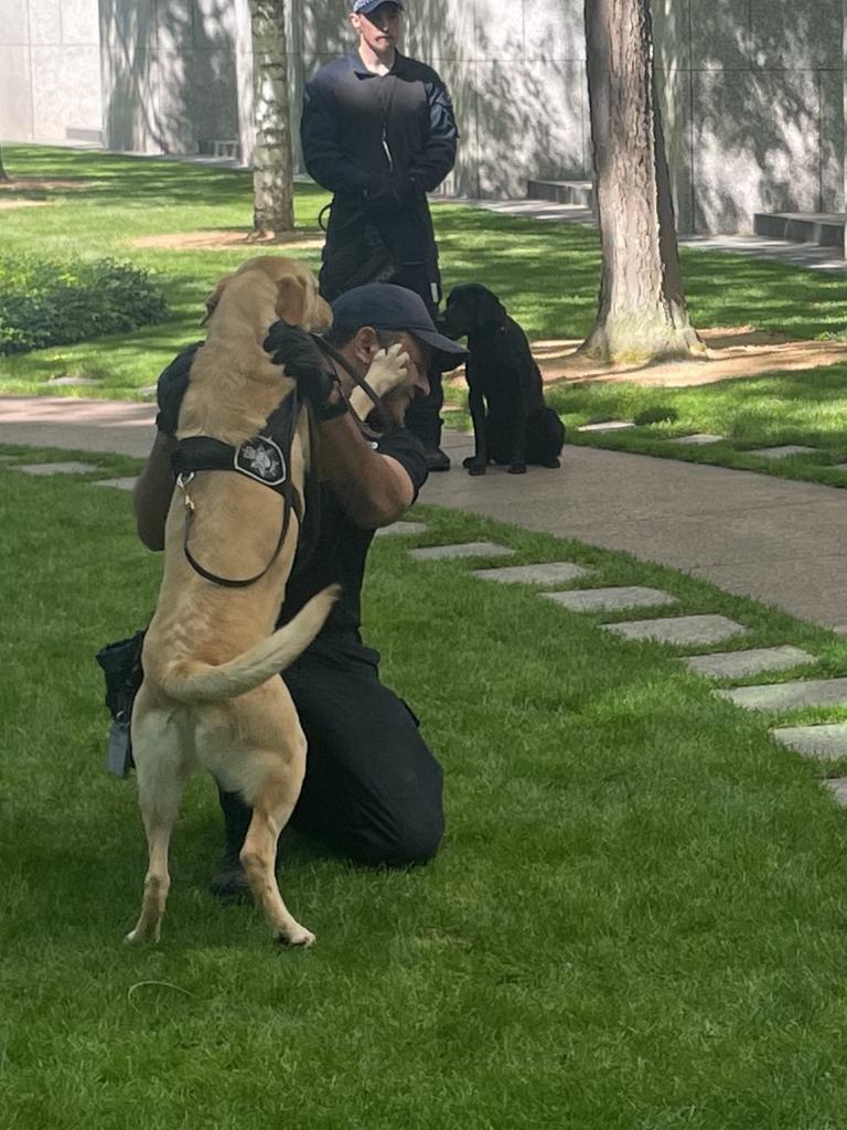 'Down, boy!': Kirk the technology detection dog shows more bite than bark. Picture: Supplied.