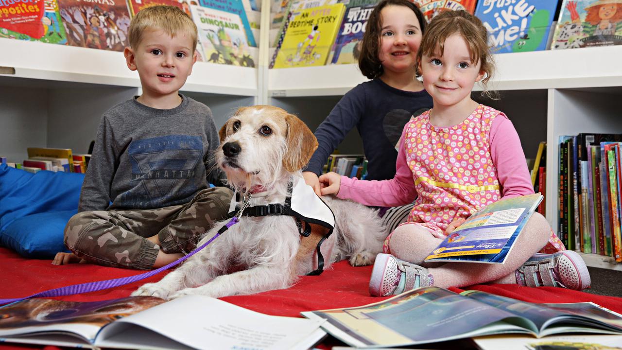 From Mudgee to Surry Hills, libraries serve communities | The Australian